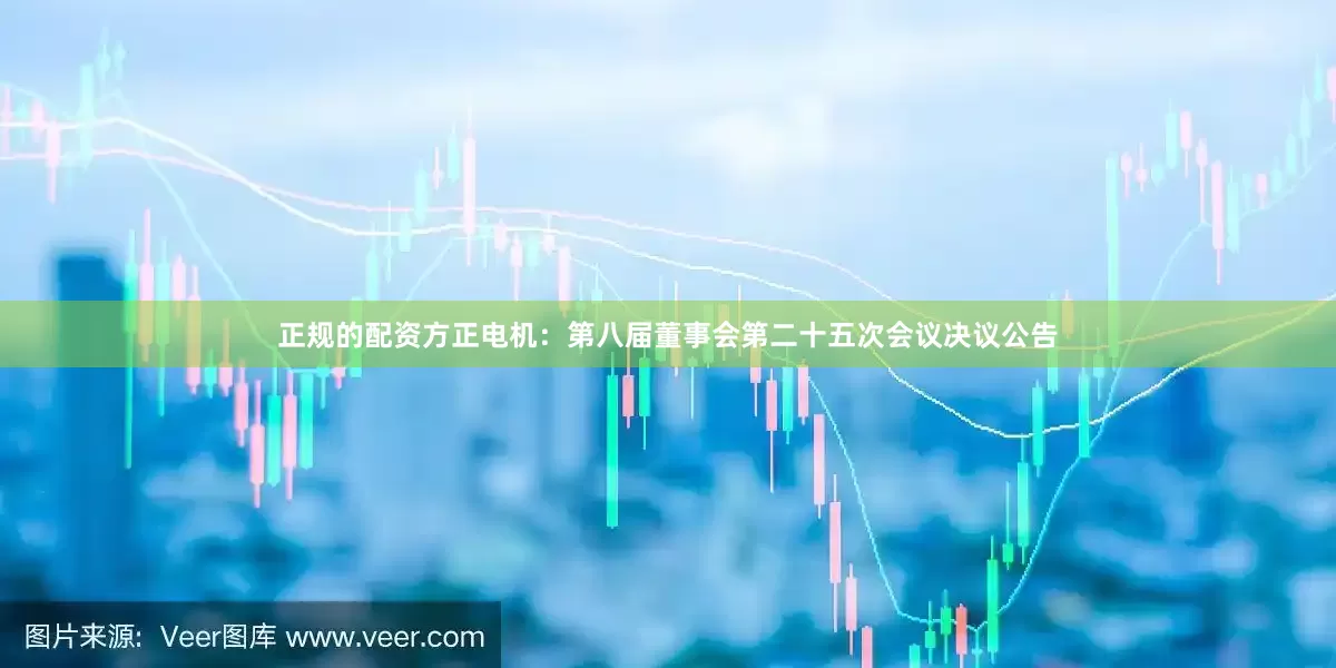 正规的配资方正电机：第八届董事会第二十五次会议决议公告