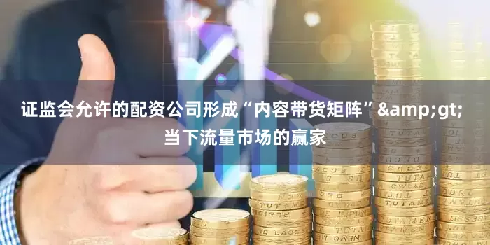 证监会允许的配资公司形成“内容带货矩阵”&gt; 当下流量市场的赢家