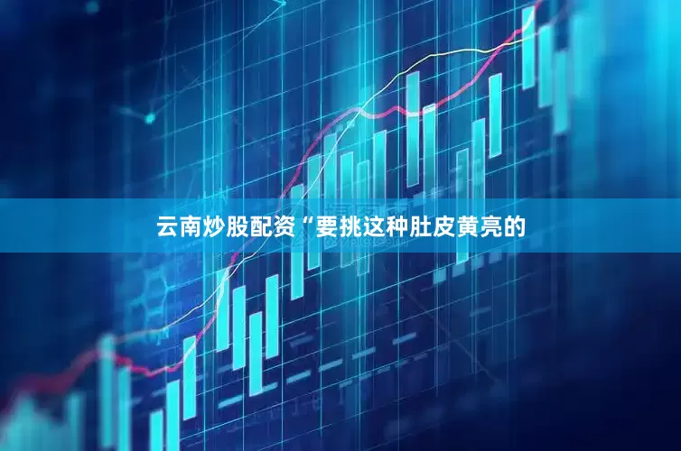 云南炒股配资“要挑这种肚皮黄亮的